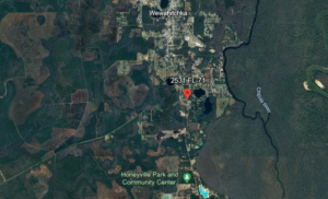 Screenshot-2024-06-12-033723-1.png